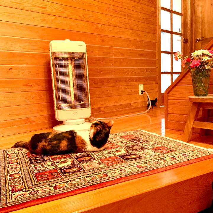 Cafaac87 29ca 455f ae64 8d2c3ce48faf 1639315135280