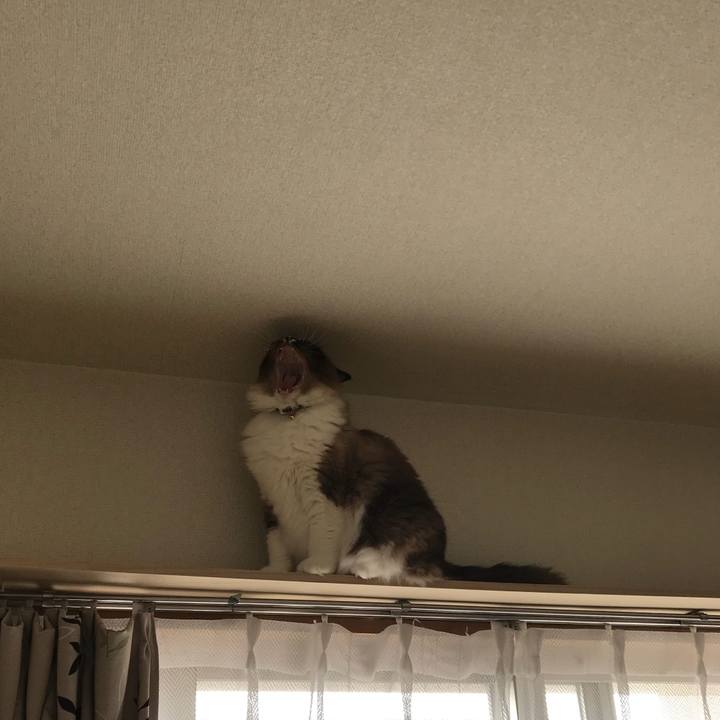 Cafadf2e a6d4 4e4e a2a4 3acb9e12bfdc 1526249627304