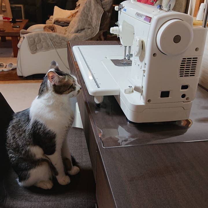 Cafafedf 63a1 4e03 bb28 54e9d4e582f3 1639666041248