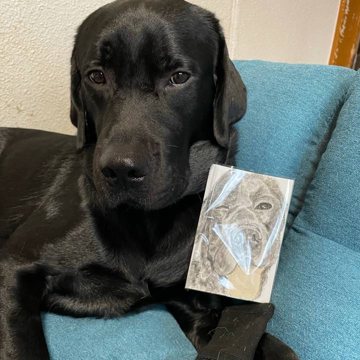 Cafb62a1 6653 4538 9405 fb182ceb5dde 1633556560876