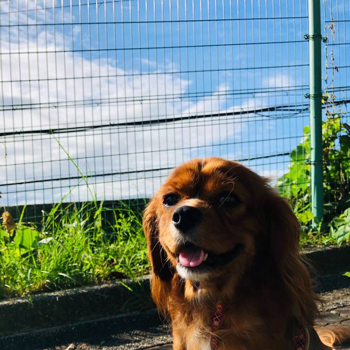 Cafb86ae c8b8 4183 8782 d78fee3db9b0 1568119552936