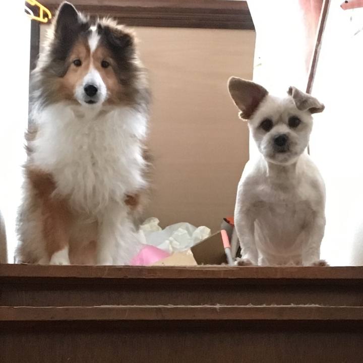 Cafb90e5 10ef 4f1d bc4b 5bcd3ddfe46a 1582964407489