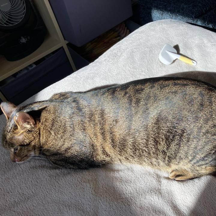 Cafb9a39 26e5 430c ab73 cee04764c7bc 1639191343370