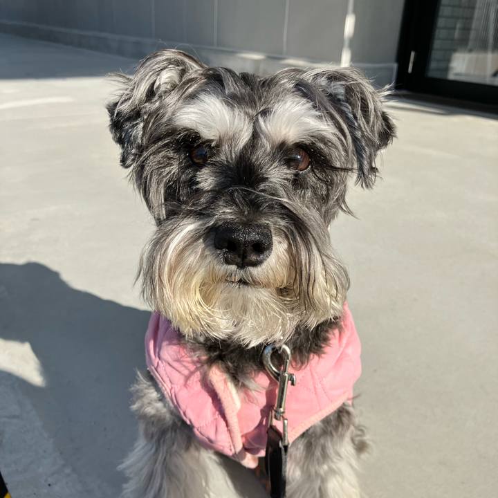 Cafbabcd ae6e 495b ba36 26615557d9bb 1771132546023