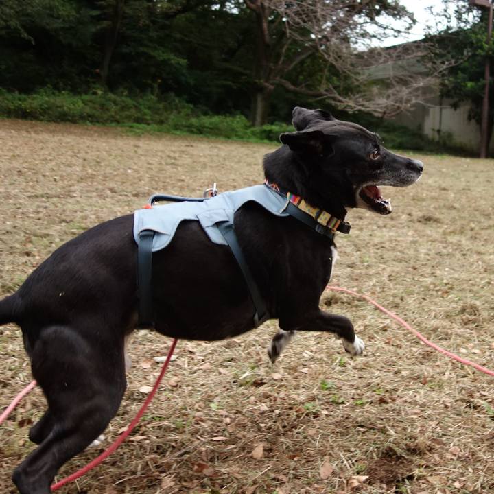 Cafbc13a f464 416e 9a3a 12fc173927ce 1729641689172