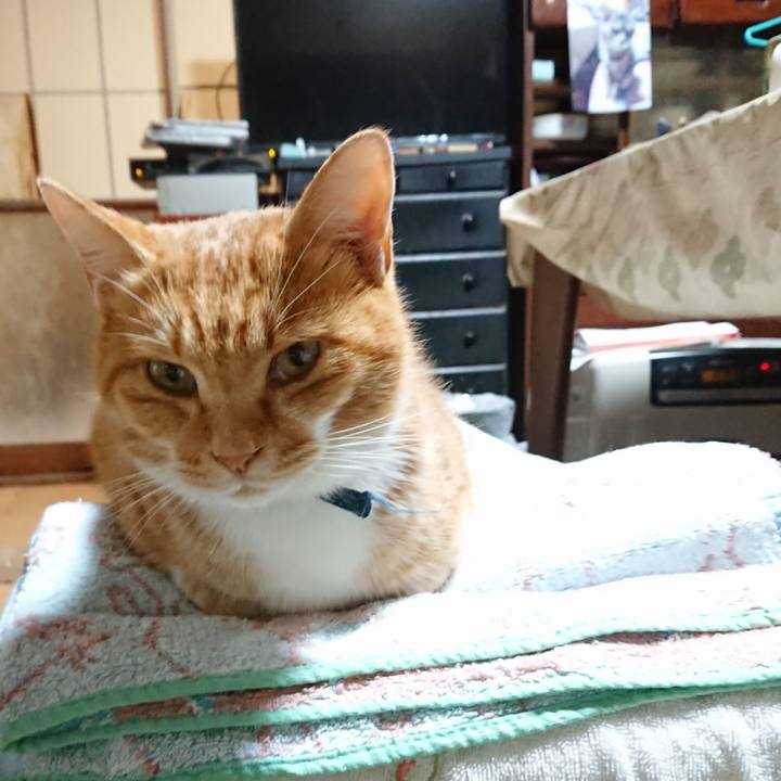 Cafc0a0b 6898 466f 90f7 9471824846c8 1604090132897