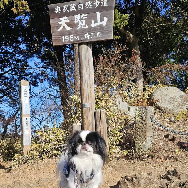 Cafc79d6 01ac 4943 b8f8 ca381e34bf82 1735546312808