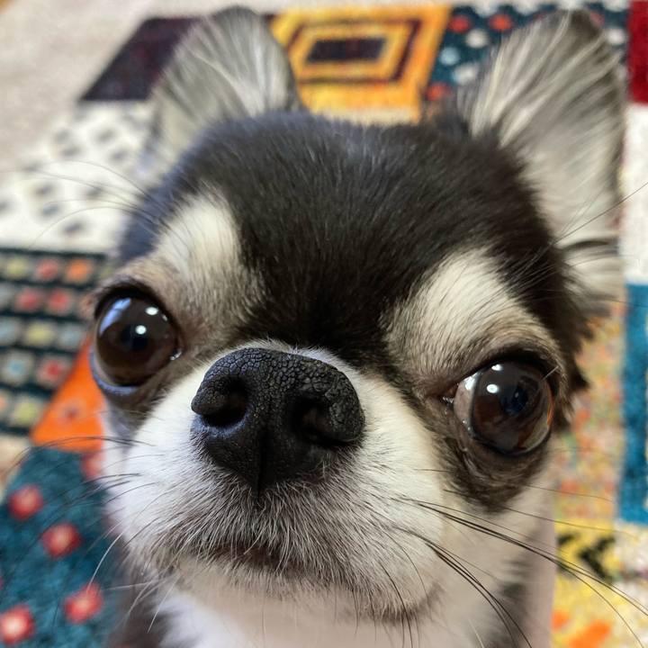 Cafc85f6 9b50 421c 91e3 c4c9fcee24b4 1682204111787