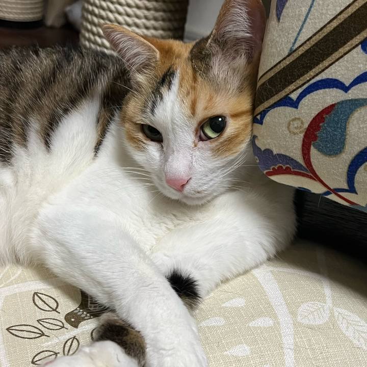 Cafcc6eb 7bec 4c07 a1e8 68c2b24440eb 1772017640126