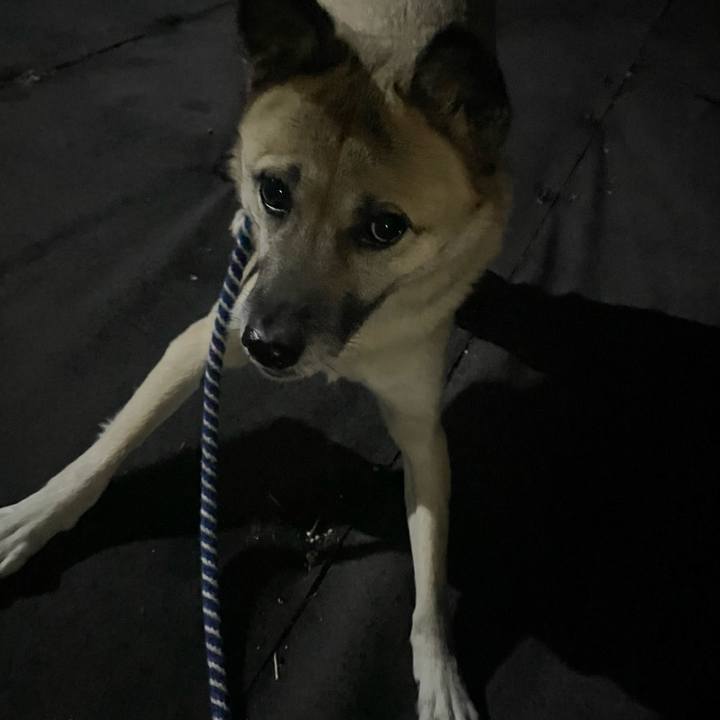 Cafcdf8d 2a92 475d bf51 4a9f2328f980 1671276715465