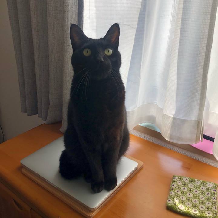 Cafd9fa9 9f5c 40ae b9d8 71783603a5d2 1642415853368