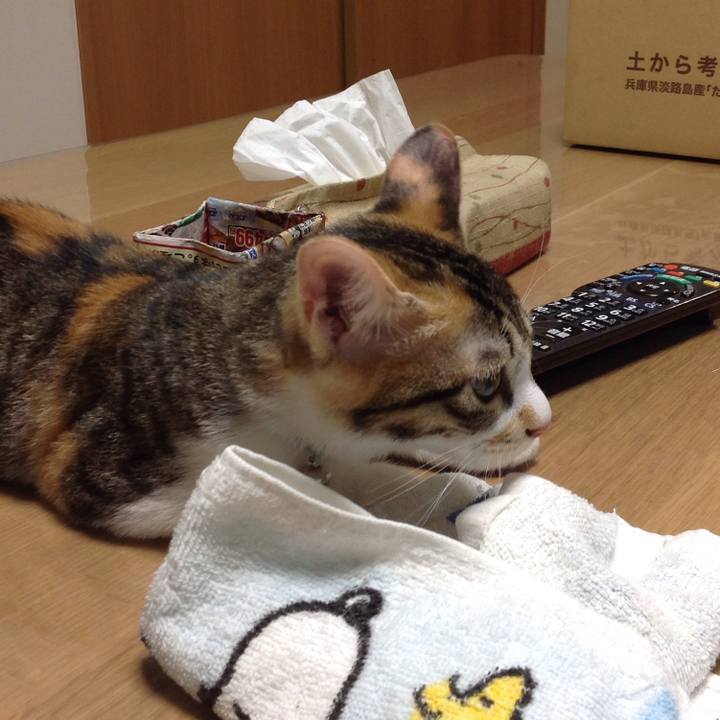 Cafdb81d 6c26 4457 837b c3901140cf43 1628806692292