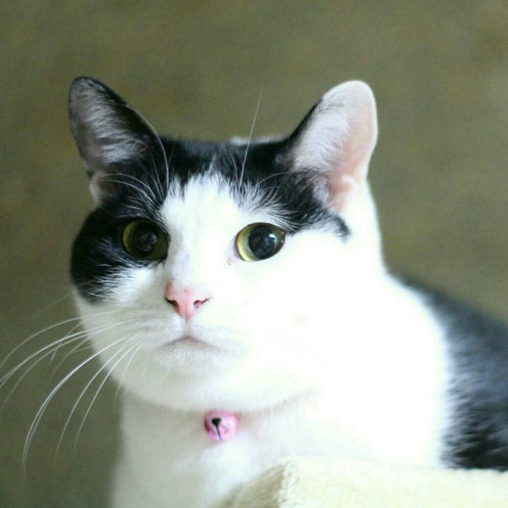 Cafdbf8a 2faf 4f68 bbef c485807b1f7b 1510185749562
