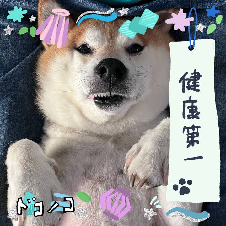 Cafdd565 2297 45d0 9c12 2e04e1b93cbd 1720761071511