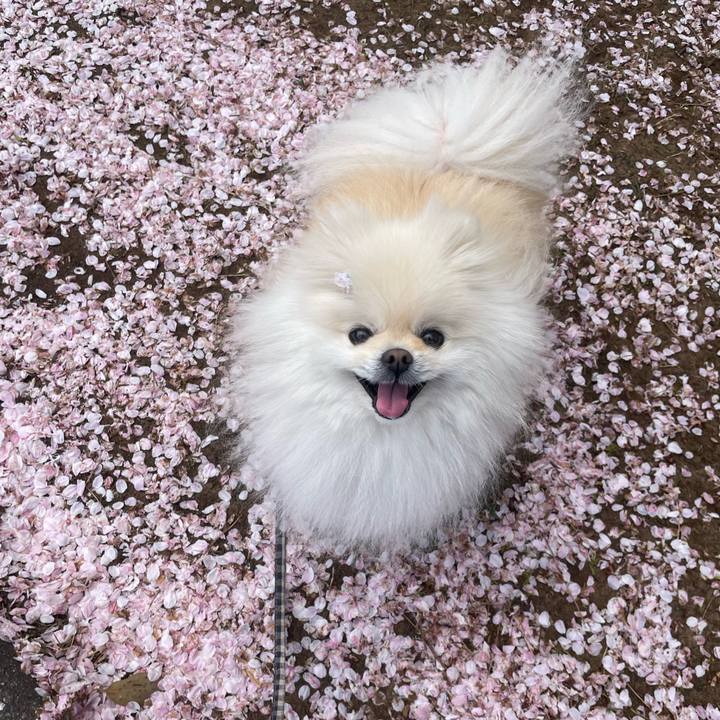 Cafdde91 9051 4cc3 ae02 4ddd374ef101 1649140045252