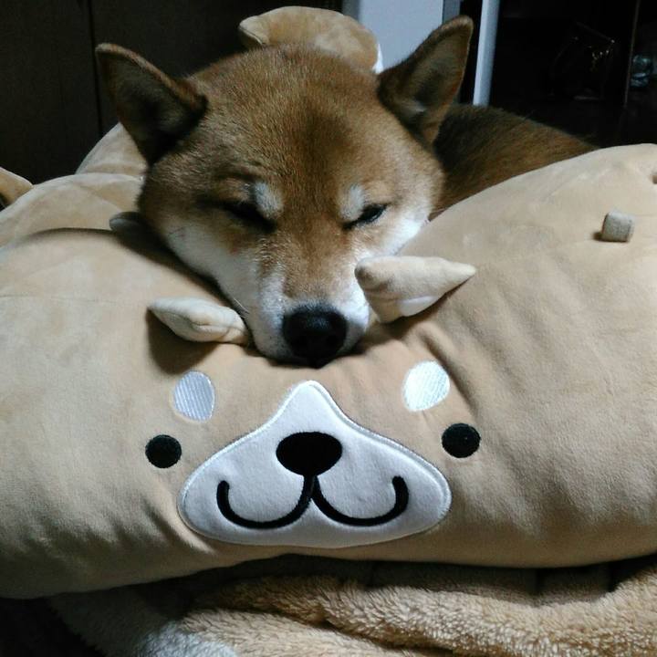 Cafe0990 7427 4a8b 9868 2fe01c390852 1516006737715