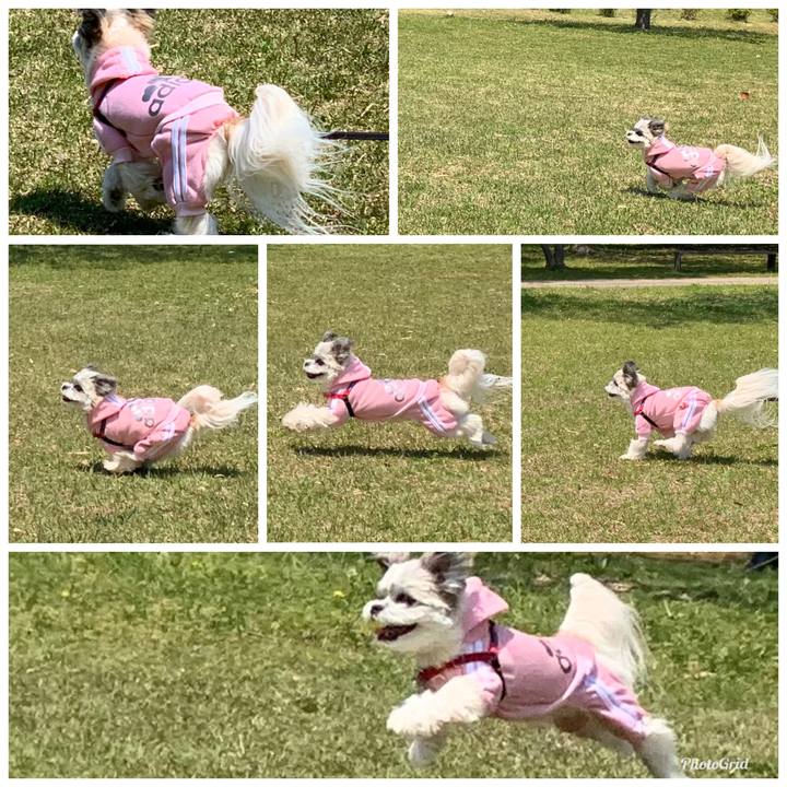 Cafe1659 b224 46a5 b0a5 3947e0d76996 1588152524257