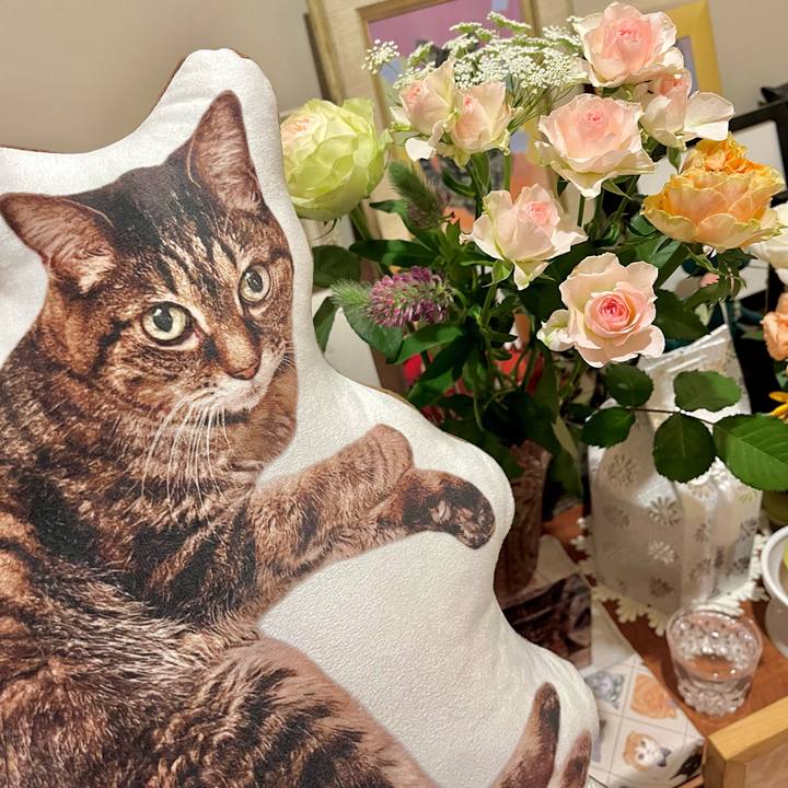 Cafe16ea 4701 436f b753 534d470a7427 1773482205916