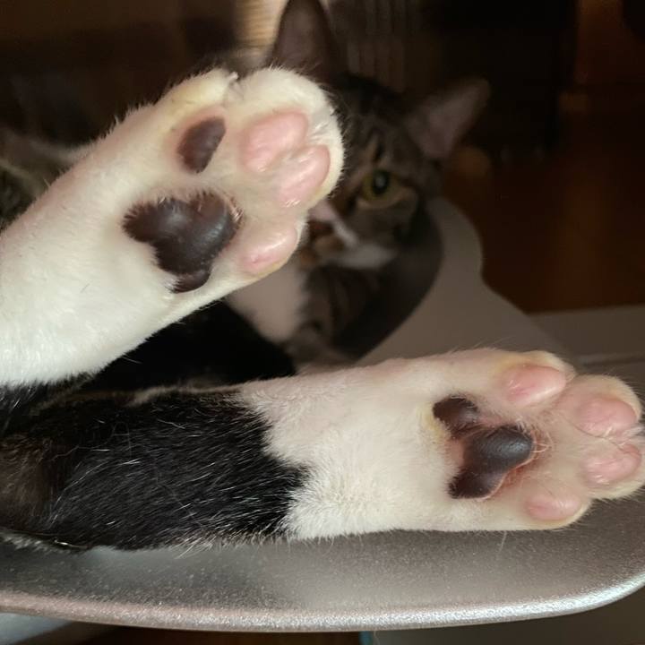 Cafe1e57 58d5 4b90 9ae3 7d404e9699ce 1721950310994