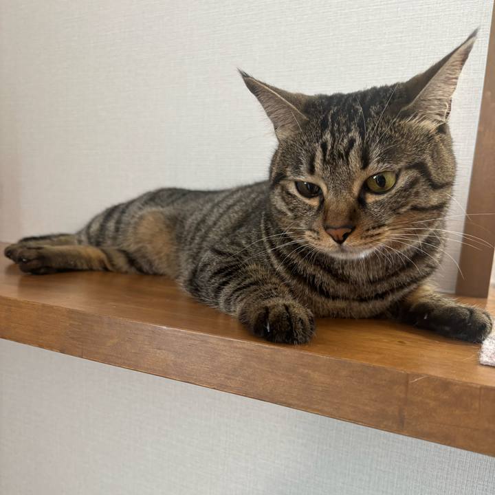 Cafe243d ed2a 4c76 a71c 059259e52e79 1754879204139