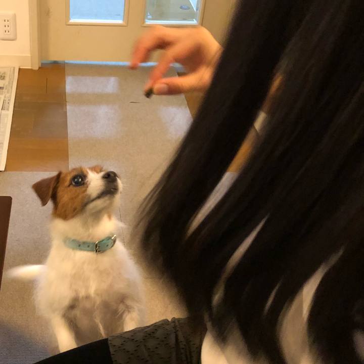 Cafe2ab8 0441 482d 8b2e f472baa189b9 1522586640830