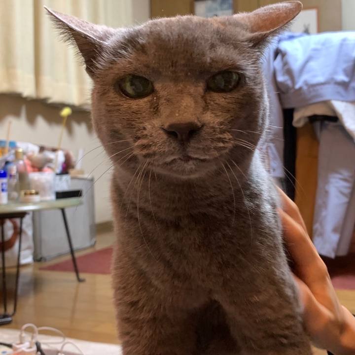 Cafe388e a083 482f 91ea 0edf53c98254 1645491067246