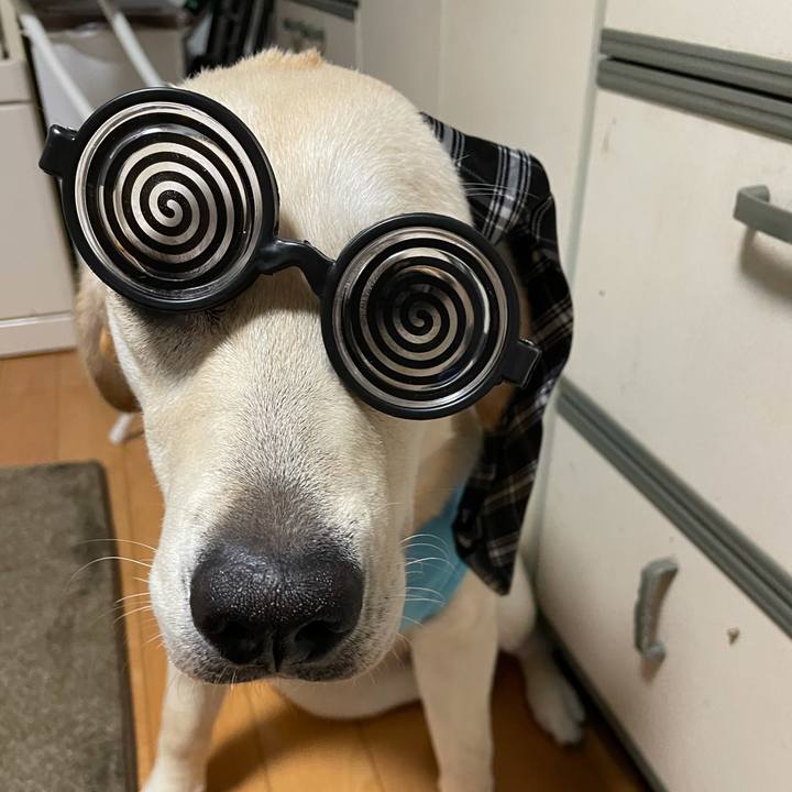 Cafe5879 90a0 46d6 980b 40cd5c8961c9 1625146236011