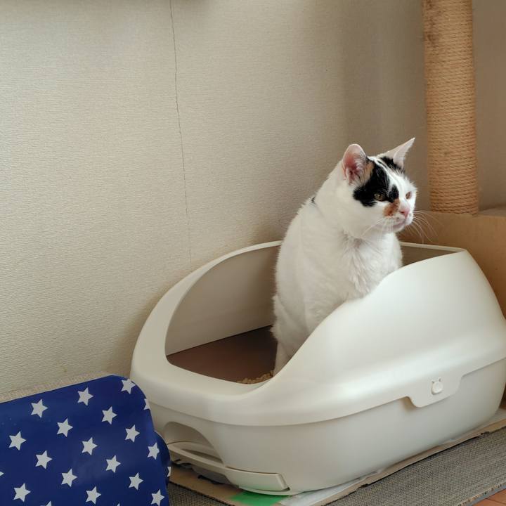 Cafe8d0b 9de8 4954 ac05 4a7fa4309578 1765260934260