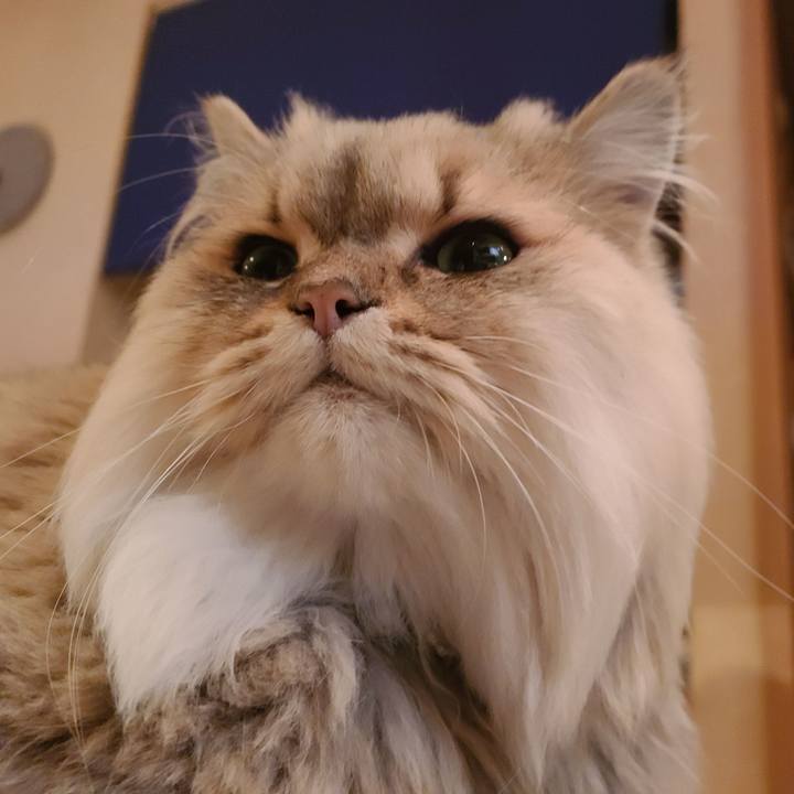 Cafe93ae 7e5f 49fe 89bb 3d6fd70f3190 1605602526686