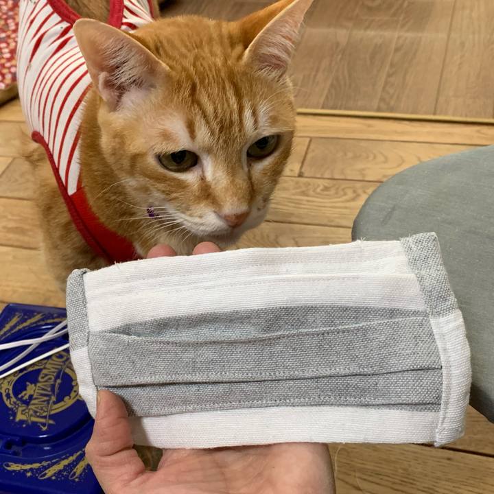 Cafe999c 66d5 41a9 a743 21262df56cd0 1588144828662