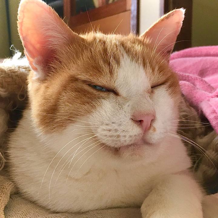 Cafea242 ec83 4e13 8be5 72bb0d8f9af9 1605163364798