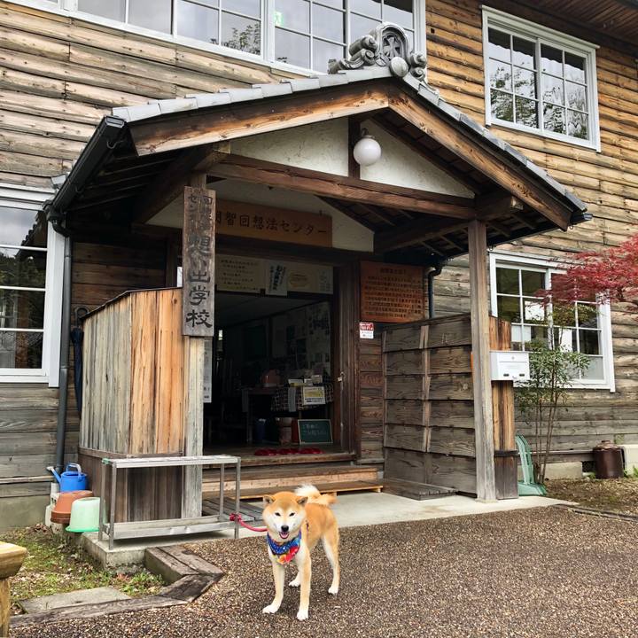 Cafeaee8 78cd 4f02 84e8 24c8a8648224 1556614432153