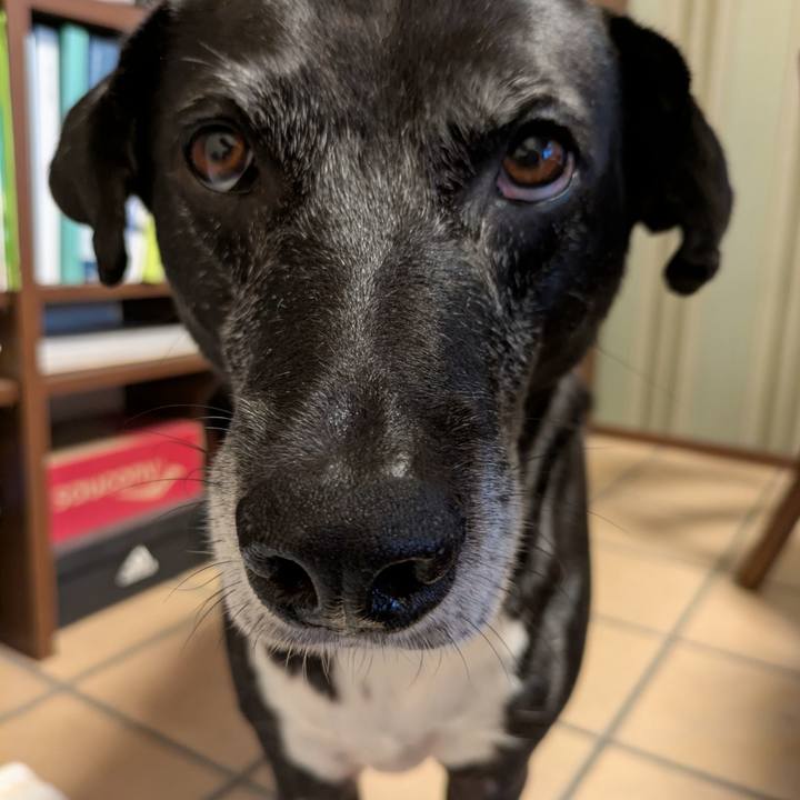 Cafed7fd beca 4c59 8225 3bb032f5a007 1757808229600