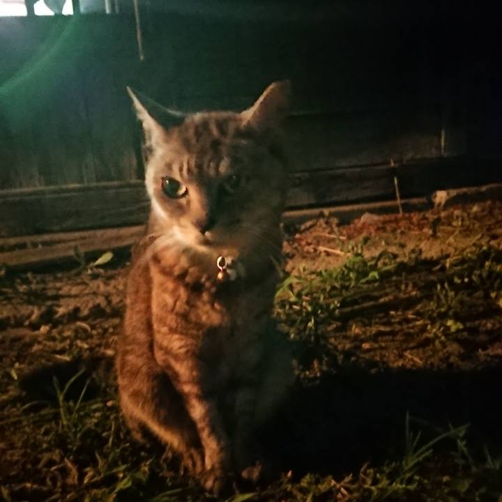 Cafee8c9 0506 4506 bbd7 378450cd7a4e 1565438004313