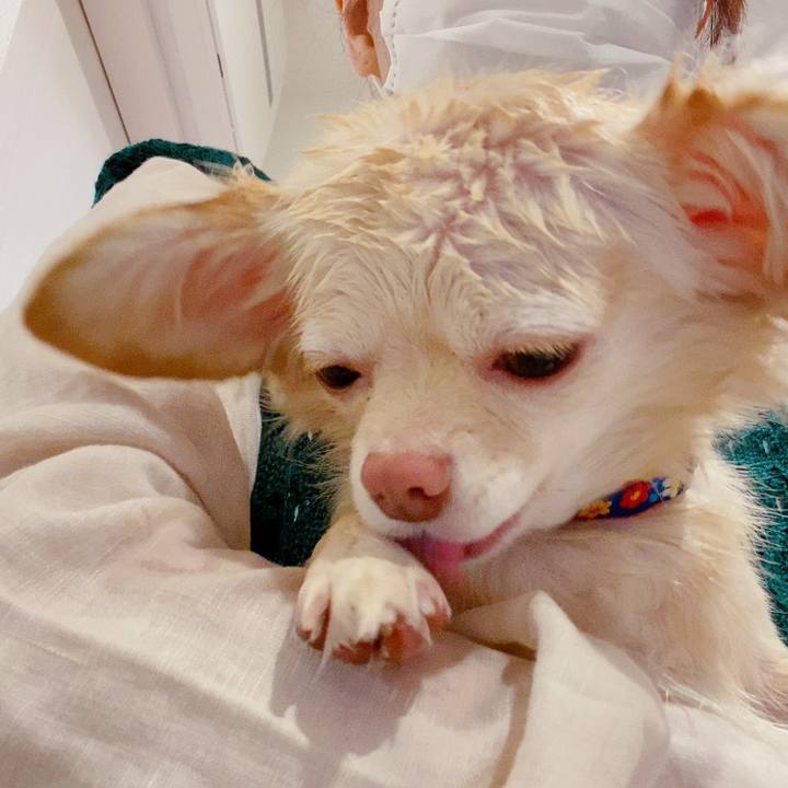 Caff0353 ac5d 457d 8adf 180b5822015c 1632889201932