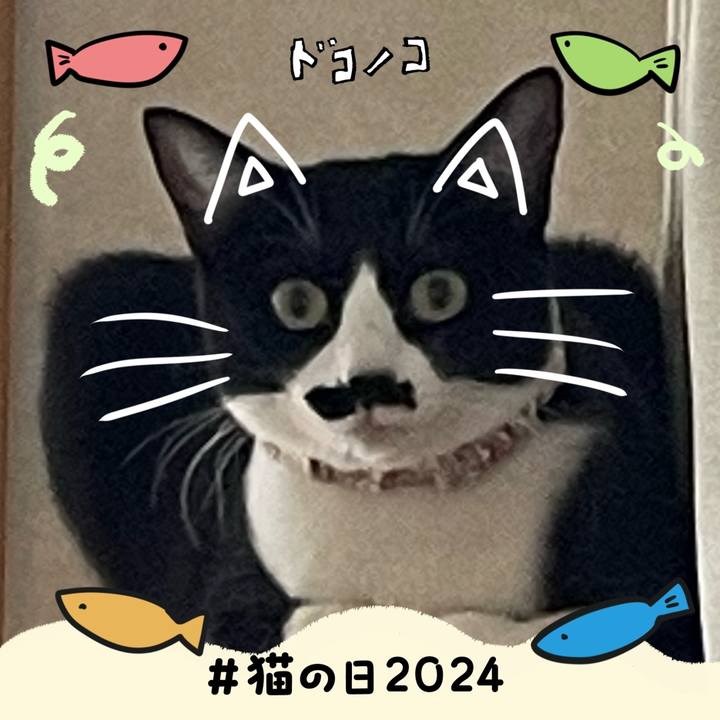 Caff2926 41e9 4dfe a3eb ae08fd5e7e9a 1708567891229