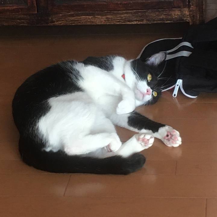 Caff402a 01bf 4065 bac6 df537a43f777 1579684538070