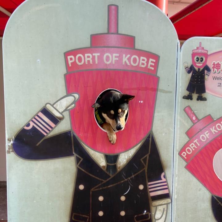 Caff4446 1667 4e8a bf9d 3115e5693618 1586052695941