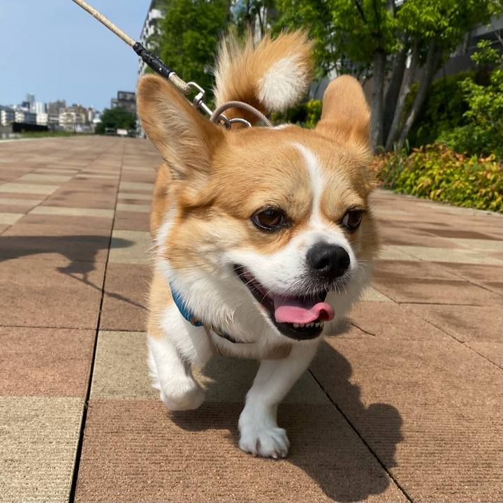 Caff5a64 b9e3 4f7e 872d c3b3fa9f1e58 1655600765942