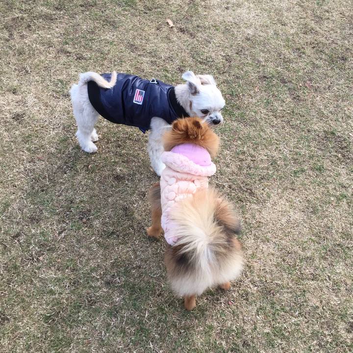 Caff5e35 aa93 4882 92b8 8960348ad202 1546751509494