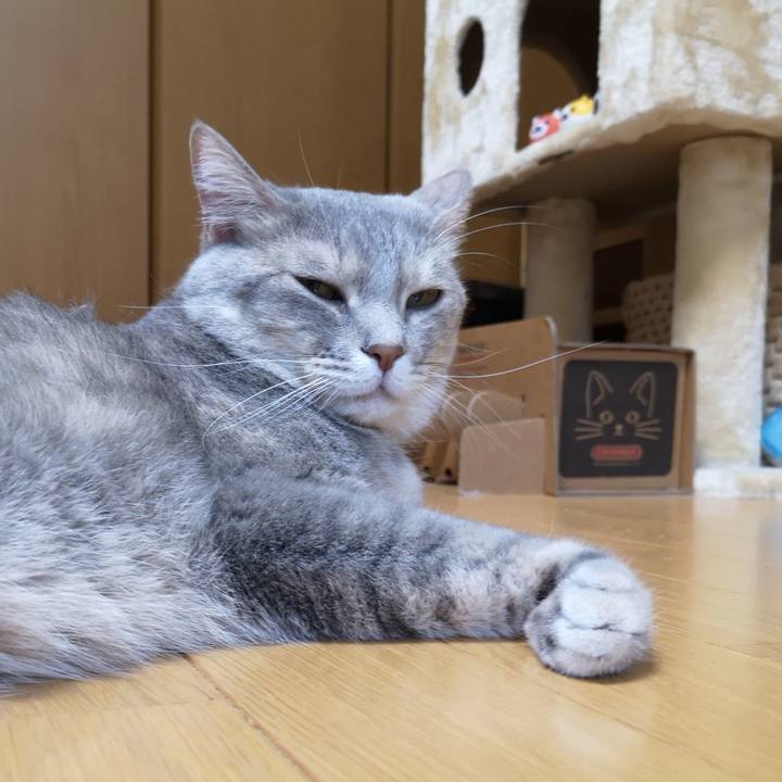 Caff6053 24f6 49fe abda e2d1886f8f24 1569506578405