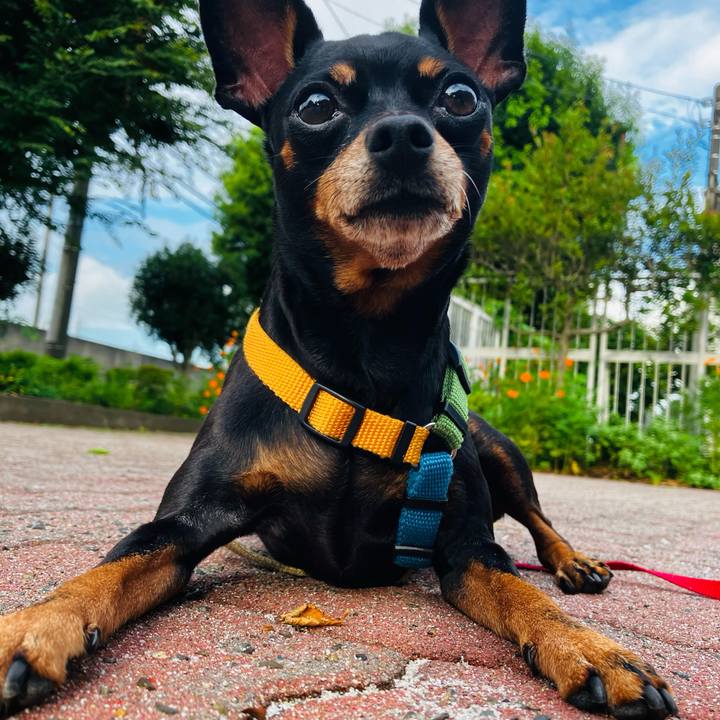 Caff75ce 61b6 489f a10d 7a3acdfdde19 1724451456770