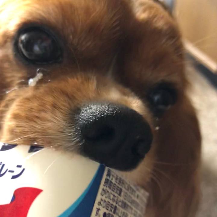 Caff89cb bcb0 4247 9fdd f08eca03667f 1597016660995