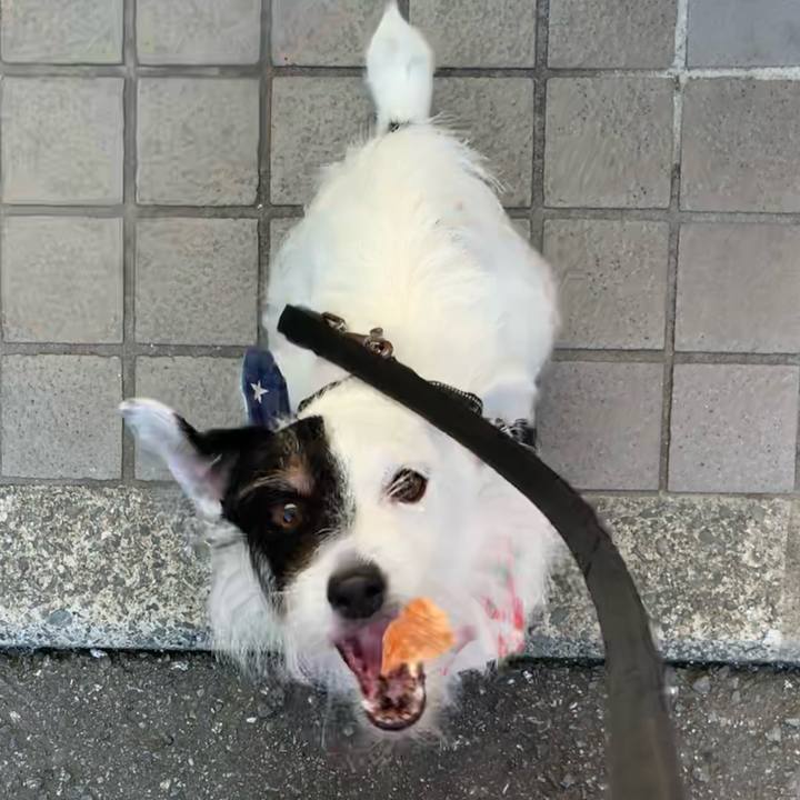 Caffab1a a991 47ca 9961 4043cf664682 1658565370345