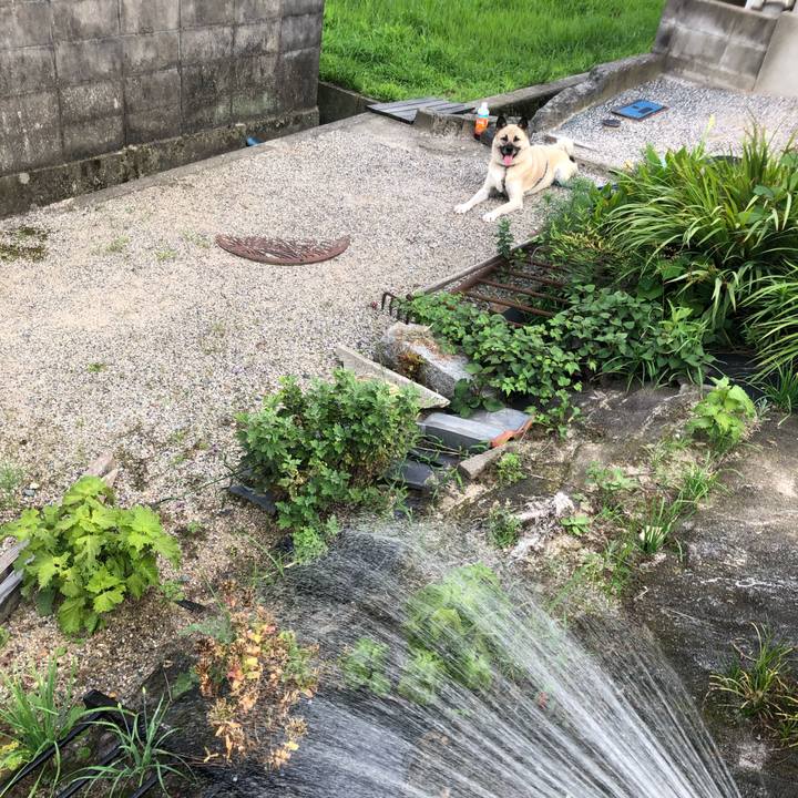 Caffb859 2883 4d31 b1bd 74938d5a3a1d 1564218738401