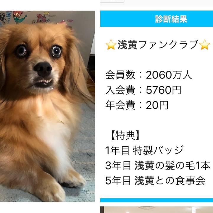 Cb0052be aaa9 40ff ac2f 3478ff590930 1568445551018