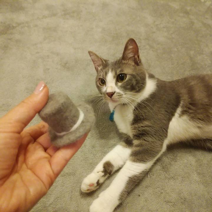 Cb005745 04eb 4a0d 8cd2 4ac4bf1a0553 1592314252905