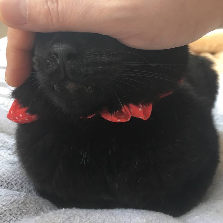 Cb005f43 9bee 4bff bccf 1626b5c936f9 1547866083261