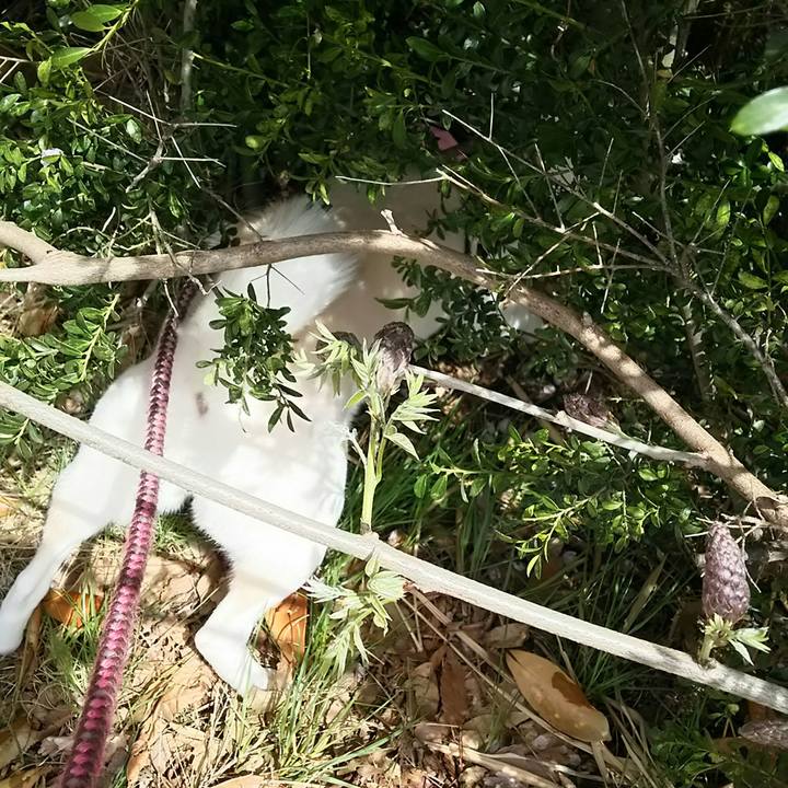 Cb007413 0d1f 4a83 a086 d7b0a8f646d0 1523847376308