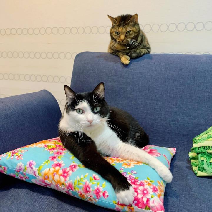 Cb00b0bb 2a74 426f 94c8 23061d4e3f03 1640775504167